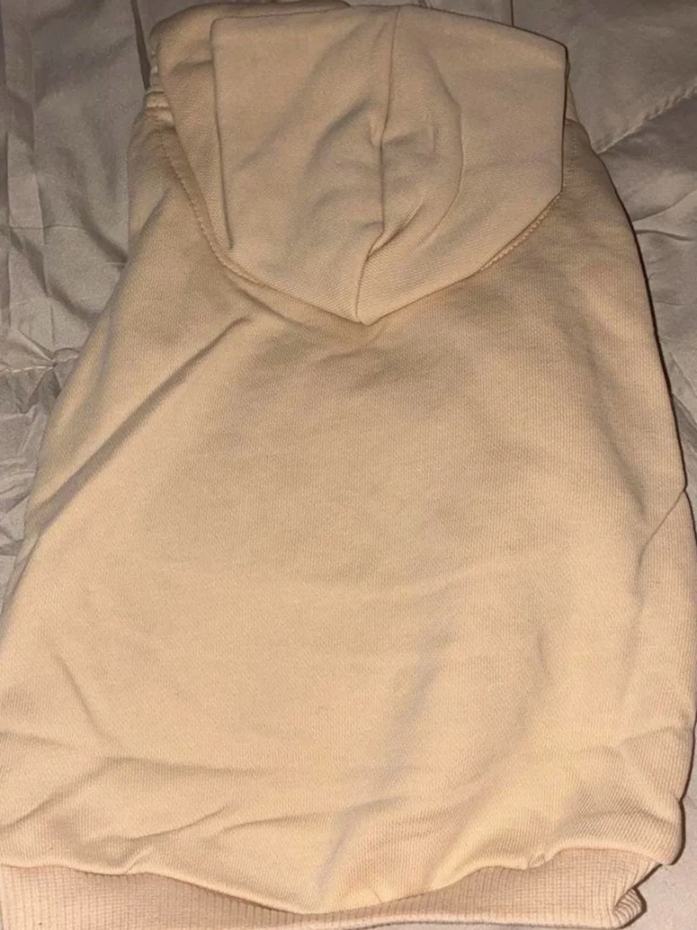 Dog Club Social Cream Hoodie